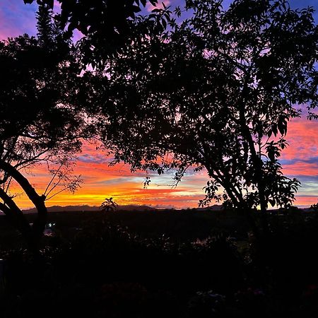 B&B Garden グレシア エクステリア 写真
